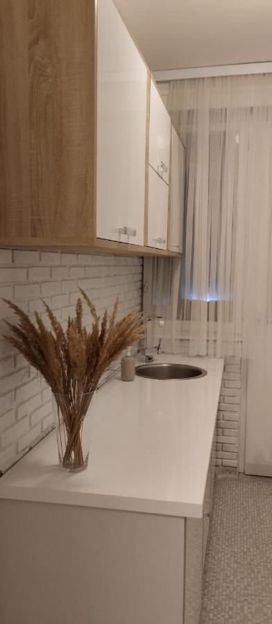 Apartment Aria サラエヴォ エクステリア 写真